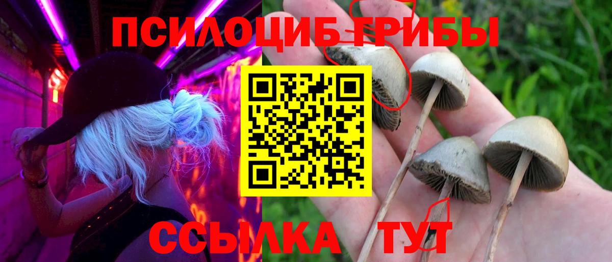 Долгопрудный  Псилоцибиновые грибы GOLDEN TEACHER  Вход с VPN 