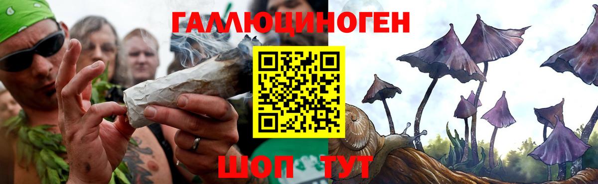 Псилоцибиновые грибы Cubensis Долгопрудный